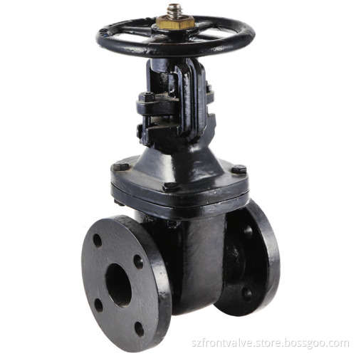 ANSI Cast Iron/Ductile Iron Flanged Gate Valve